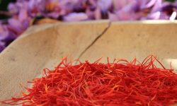 ZAFFERANO, PAGANICA SI RIAPPROPRIA DEL RUOLO DI PAESE PRODUTTORE