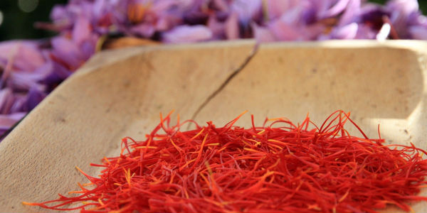 ZAFFERANO, PAGANICA SI RIAPPROPRIA DEL RUOLO DI PAESE PRODUTTORE