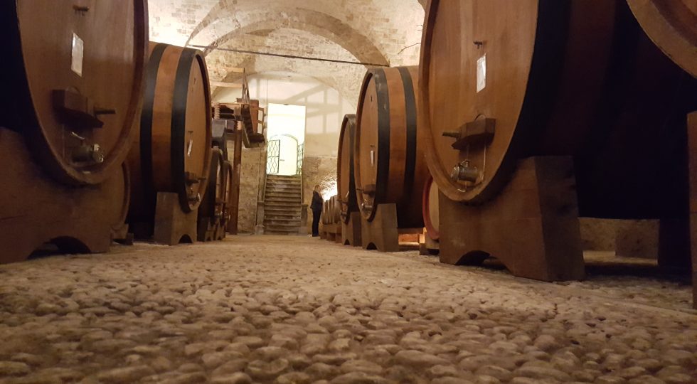 CANTINE APERTE A SAN MARTINO: NEL WEEKEND NASCE IL VINO, SCOPPIA LA FESTA
