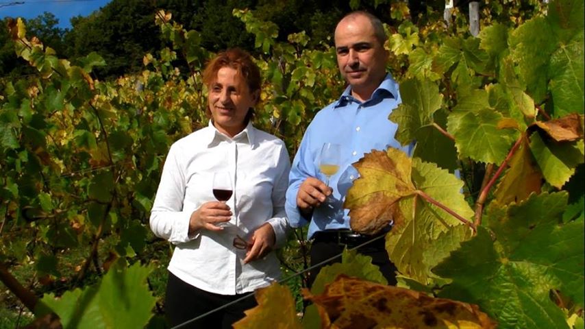 VINI DI MONTAGNA, A CASTELSIMONI PICCOLA ESCURSIONE E DEGUSTAZIONE