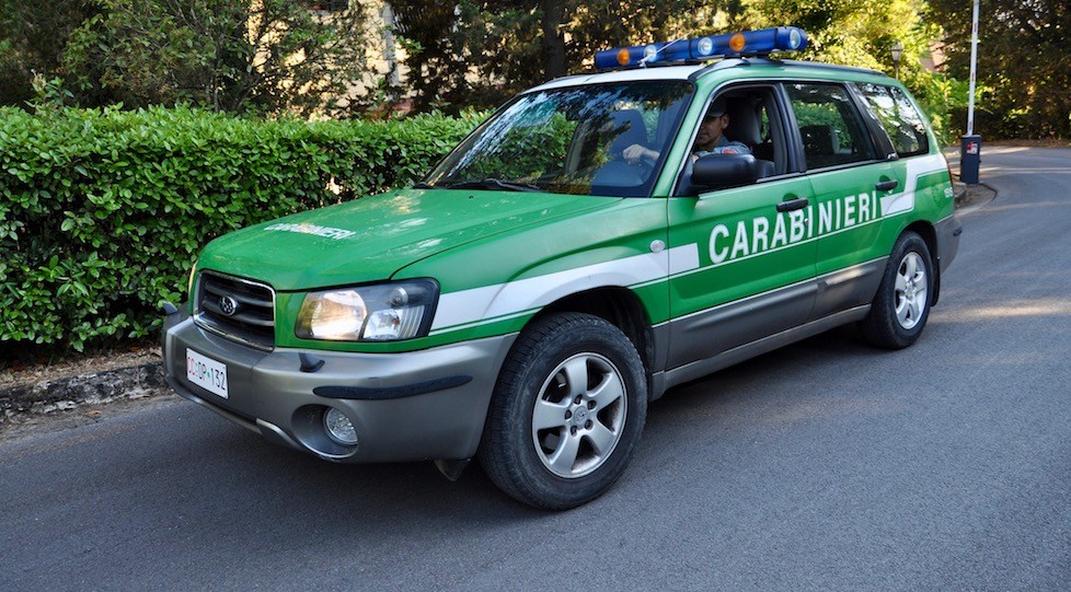 PASCOLI, A TORNIMPARTE SEQUESTRATI BOVINI INCUSTODITI