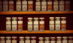 ENECTA STORE, A PESCARA IL PRIMO NEGOZIO DI ESTRATTI DI CANNABIS D’ABRUZZO