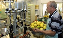 LIMONCELLO DI SORRENTO DIVENTA SPAGNOLO, ZAMORA ACQUISISCE VILLA MASSA