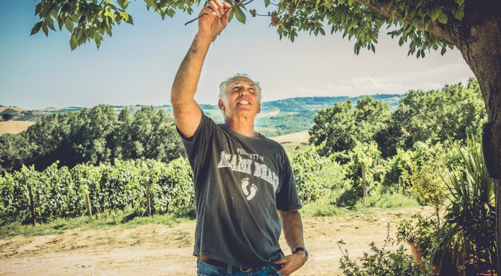 “CHIAMAMI QUANDO PIOVE”, NEI VINI VALORI UN RACCONTO ANTICO IN STILE MODERNO