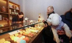 A BRESCIA LA PRIMA PASTICCERIA PER CANI, DOLCI CON INGREDIENTI SELEZIONATI