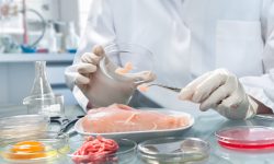 SICUREZZA ALIMENTARE, AUTORITÀ EUROPEA SI AFFIDA ALLO ZOOPROFILATTICO ABRUZZESE