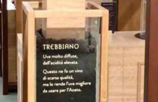 “TREBBIANO? SCARSA QUALITÀ, BUONO PER ACETO”, ETICHETTA SHOCK AL FICO EATALY DI BOLOGNA