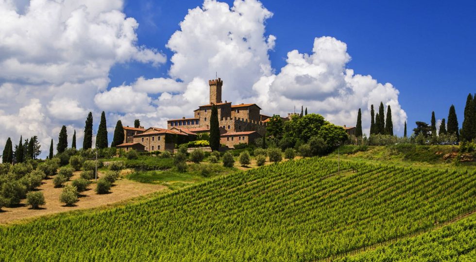FURTO IN AZIENDA BRUNELLO DI MONTALCINO, PORTATE VIA 500 BOTTIGLIE
