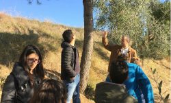 CITTÀ DELL’OLIO, STUDENTI DELL’AGRARIO DI ATRI IN VISITA AI FRANTOI