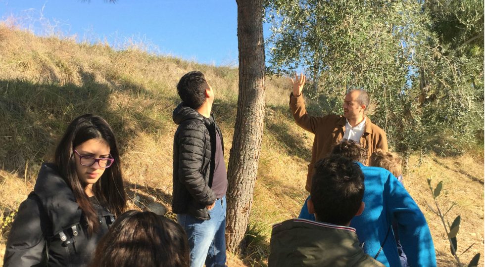CITTÀ DELL’OLIO, STUDENTI DELL’AGRARIO DI ATRI IN VISITA AI FRANTOI