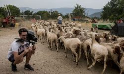 TRANSUMANZA CANDIDATA UNESCO: COLDIRETTI, SALVARE ANCHE I PASTORI