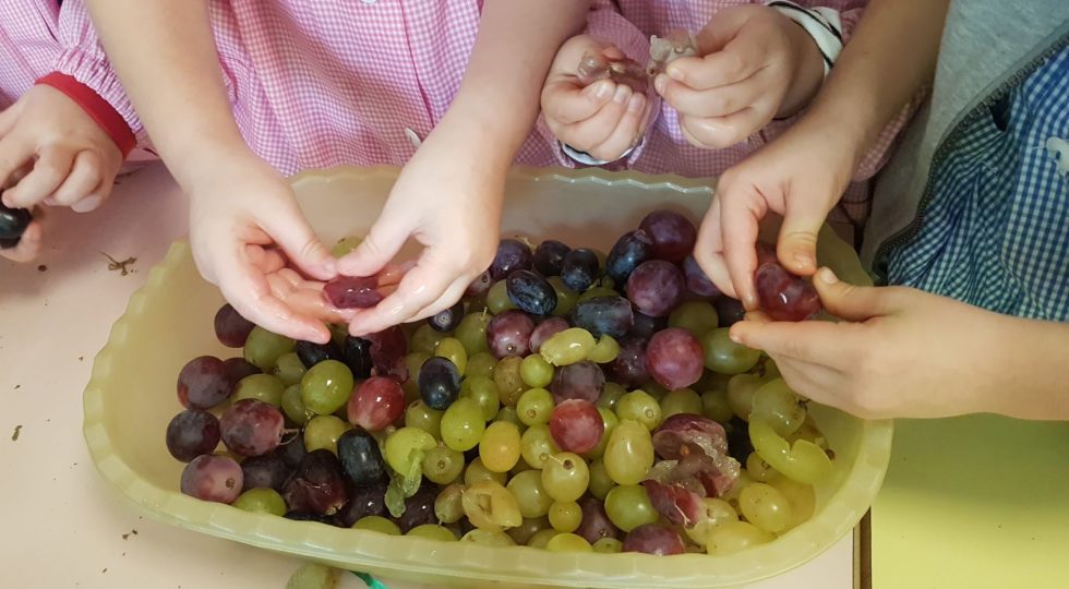 VENDEMMIA E PRODUZIONE DEL VINO PER I BAMBINI DELLA SCUOLA SAN BERNARDINO DELL’AQUILA