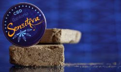 BABILONIA, STARTUP ABRUZZESE CREA PRIMO HASHISH LEGALE SENZA PSICOATTIVI DA COLTIVAZIONE CANAPA