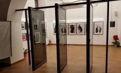 L’AQUILA, LEZIONE-CONCERTO PER LA NOTTE DEI RICERCATORI AL FRAME STUDIO