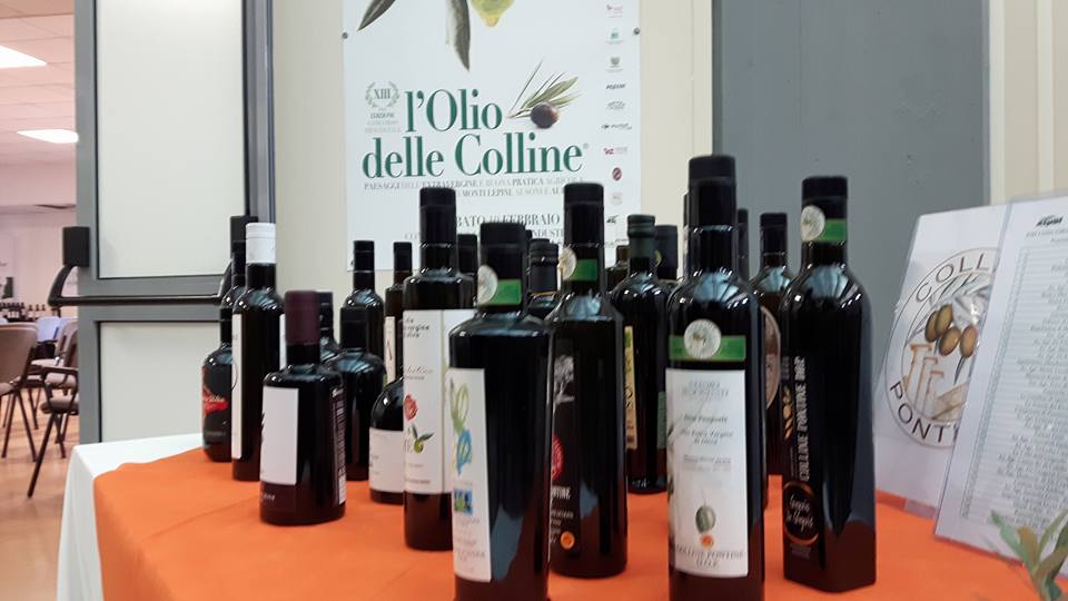 L’OLIO DELLE COLLINE, I VINCITORI DELLA TREDICESIMA EDIZIONE