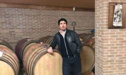 INALTO, IL NUOVO BRAND VINICOLO DI ADOLFO DE CECCO