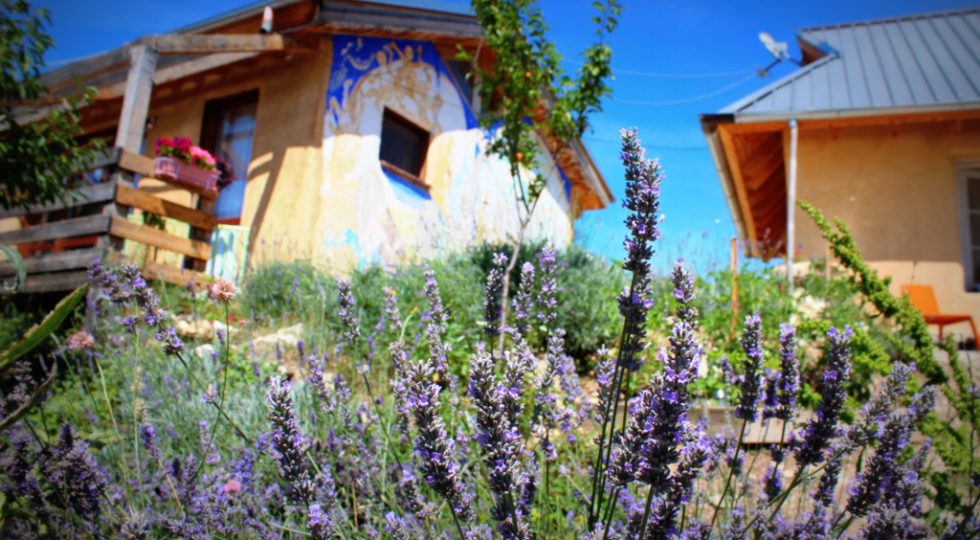 AGRICOLTURA ORGANICA E RIGENERATIVA, CORSO AL VILLAGGIO EVA DI PESCOMAGGIORE