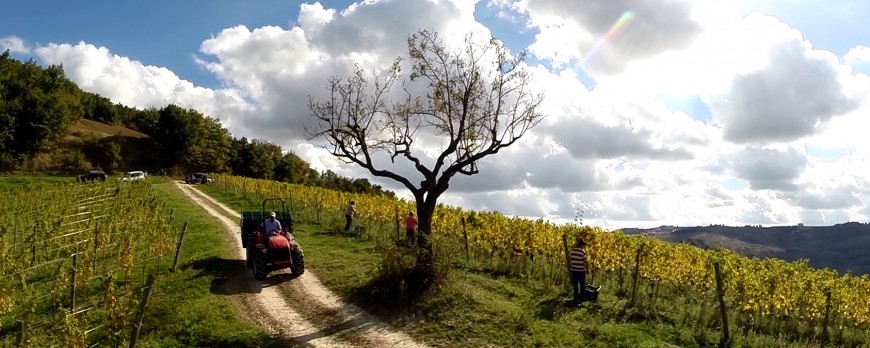 ALL’OSTERIA CORRIDORE DELL’AQUILA SERATA COI VINI DELL’AZIENDA AGRICOLA VINICA