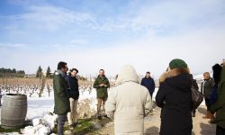 MASTER OF WINE, ESPERTI ENOLOGI DA TUTTO IL MONDO DA UMANI RONCHI PER CORSO PER AMBASCIATORI INTERNAZIONALI DEL VINO