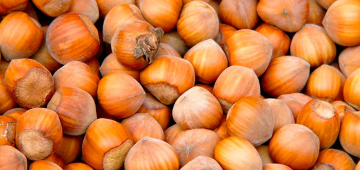 NOCCIOLE PER LA FERRERO DA TERRENI IN ABBANDONO DELL’ABRUZZO