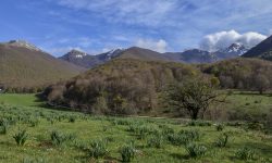 PARCO NAZIONALE D’ABRUZZO, IL 98% DEI TURISTI TORNERÀ