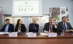 AVPN LANCIA I “PERCORSI VERACI”, LE NUOVE MASTERCLASS SULLA VERA PIZZA NAPOLETANA