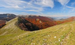TURISMO POST-COVID NEL PARCO D’ABRUZZO, ONLINE SI RACCOLGONO IDEE