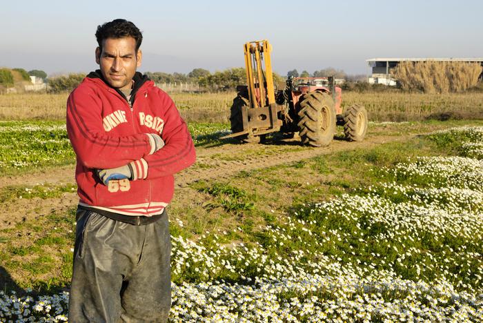 CORSI DI ITALIANO PER AGRICOLTORI STRANIERI IN PROVINCIA DELL’AQUILA