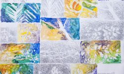 “OSSIGENO”, MOSTRA MULTIMEDIALE SU RISPETTO FLORA A PESCARA