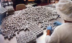 NESTLÈ, FIRMATO ACCORDO CHE CHIUDE VERTENZA PERUGINA SENZA LICENZIAMENTI