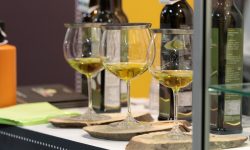 OLIO EVO E VINO, UN PATTO PER CONTROGUERRA CON LA TAPPA DEL GIROLIO D’ITALIA