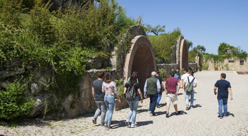 STUDENTI ABRUZZESI ALLA SCOPERTA DEI VINI D’ABRUZZO CON IL CONSORZIO DI TUTELA
