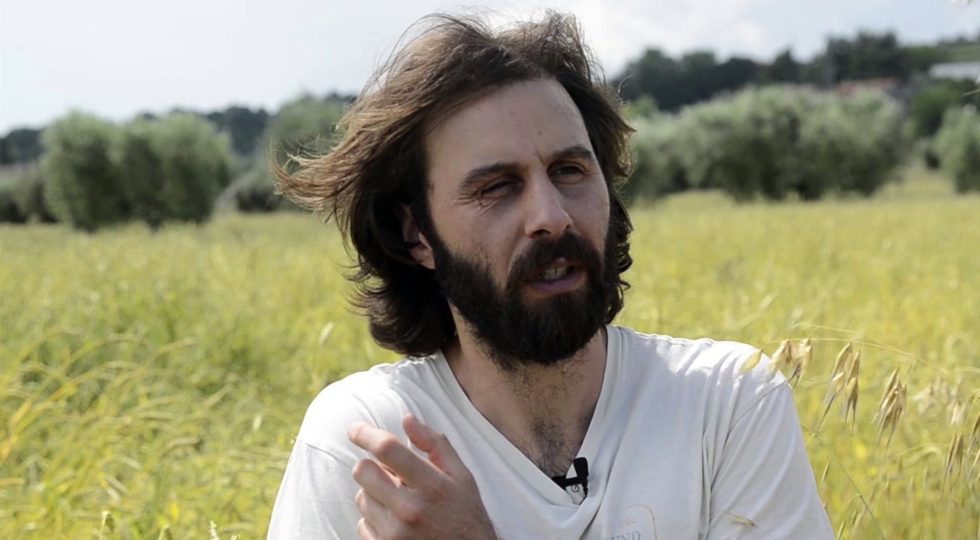 DANIELE CIABATTONI, AD ASCOLI PICENO UNA VENTATA DI ANTICO NELLA PANIFICAZIONE