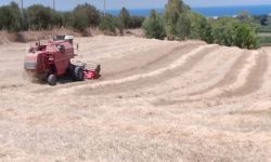 FESTA DELLA TREBBIATURA, A COLLE SAN VITO DI TORNIMPARTE SI RIPETE IL RITO