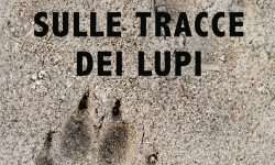 “SULLE TRACCE DEI LUPI”, TRE PRESENTAZIONI DEL VOLUME DI ANNA CONSALVO E CIRO MANENTE