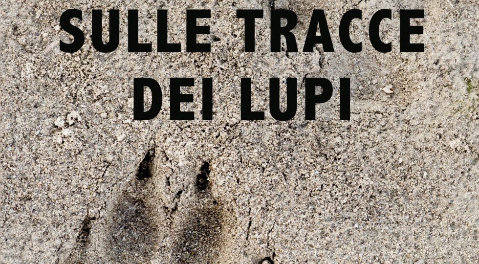 “SULLE TRACCE DEI LUPI”, TRE PRESENTAZIONI DEL VOLUME DI ANNA CONSALVO E CIRO MANENTE