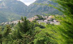 DIVERTIMENTO, CULTURA, ESCURSIONI E TRADIZIONE A “SUMMER CELIERA”