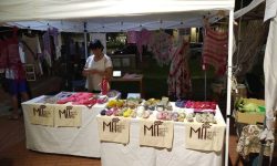 A PINETO RIPARTE IL MERCATO ITINERANTE DELLA TERRA