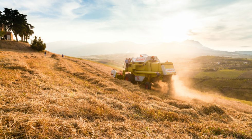 IL RITO DELLA TRESCATURA CELEBRA LA PASTA RUSTICHELLA CON GRANO 100% ABRUZZESE