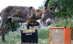 “MONTAGNE FUNKY”, AD AIELLI UN FESTIVAL PER IMMERGERSI NELLA NATURA AL RITMO DI BUONA MUSICA