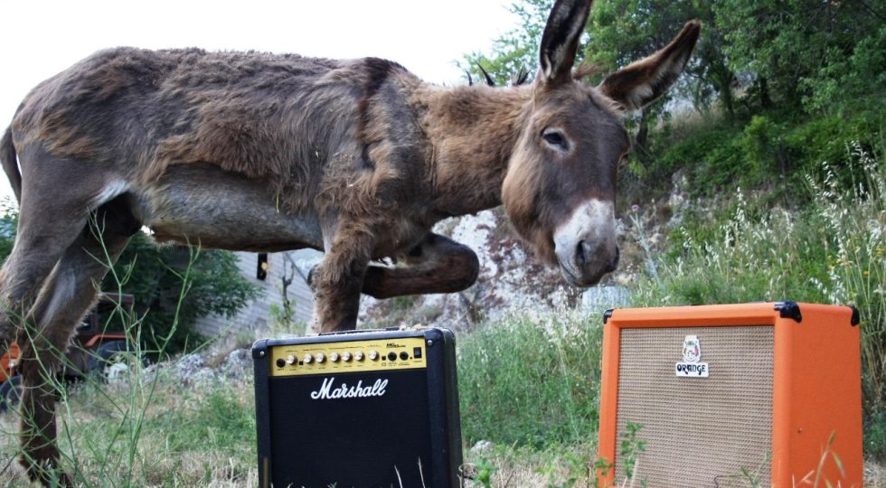 “MONTAGNE FUNKY”, AD AIELLI UN FESTIVAL PER IMMERGERSI NELLA NATURA AL RITMO DI BUONA MUSICA