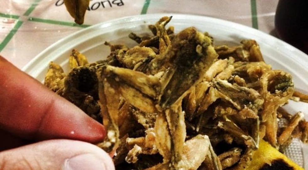 A FONTANELLE DI ATRI LA FESTA DELLE RANE E DEI PRODOTTI TIPICI LOCALI