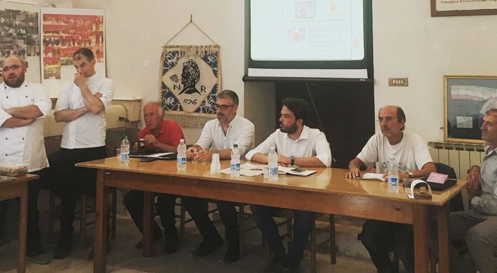ZAFFERANO, A PAGANICA TERRENI USO CIVICO GRATIS A GIOVANI COLTIVATORI