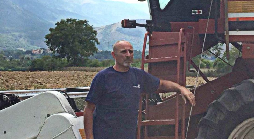 MALTO DI ALTURA, È DI SAN DEMETRIO L’ORZO UTILIZZATO PER LA BIRRA PERONI