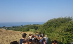 DALLE ANTICHE CANTINE DEL BORSACCHIO ALLA SCOPERTA DI VINO ED ERBE SPONTANEE