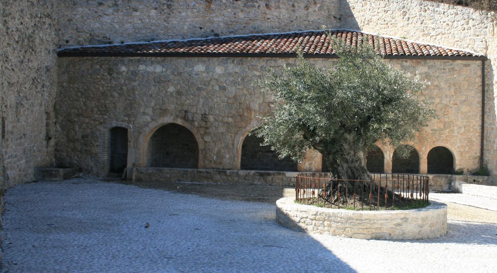 ALLA SCOPERTA DELLE CINQUE FONTI, PASSEGGIATA GUIDATA A COLLEBRINCIONI