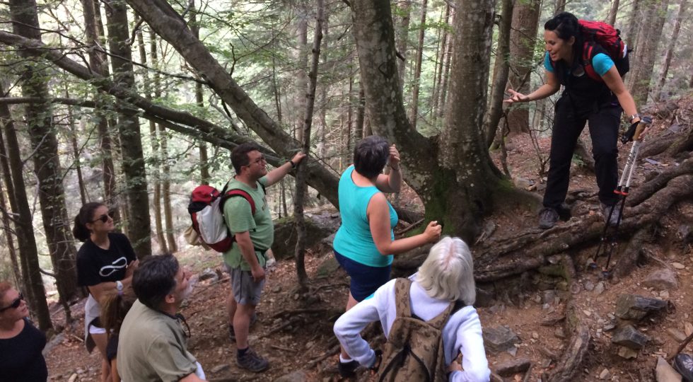 TORNA FUNGOLANDIA, IN VAL BREMBANA NOVE GIORNI TRA NATURA E DEGUSTAZIONI