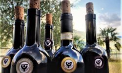 THE WINEHUNTER AWARD, ONLINE GUIDA DI HELMUTH KOCHER