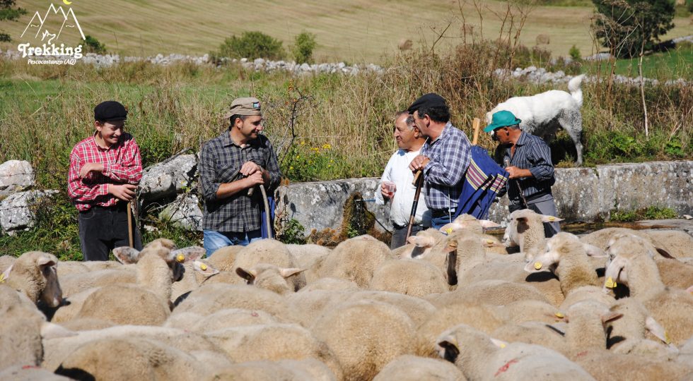 LA PICCOLA TRANSUMANZA TERAMANA PROTAGONISTA DI UN CONVEGNO