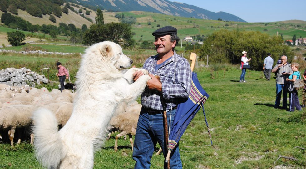 IN CAMMINO COI PASTORI DA PESCOCOSTANZO ALL’EREMO DI SAN MICHELE